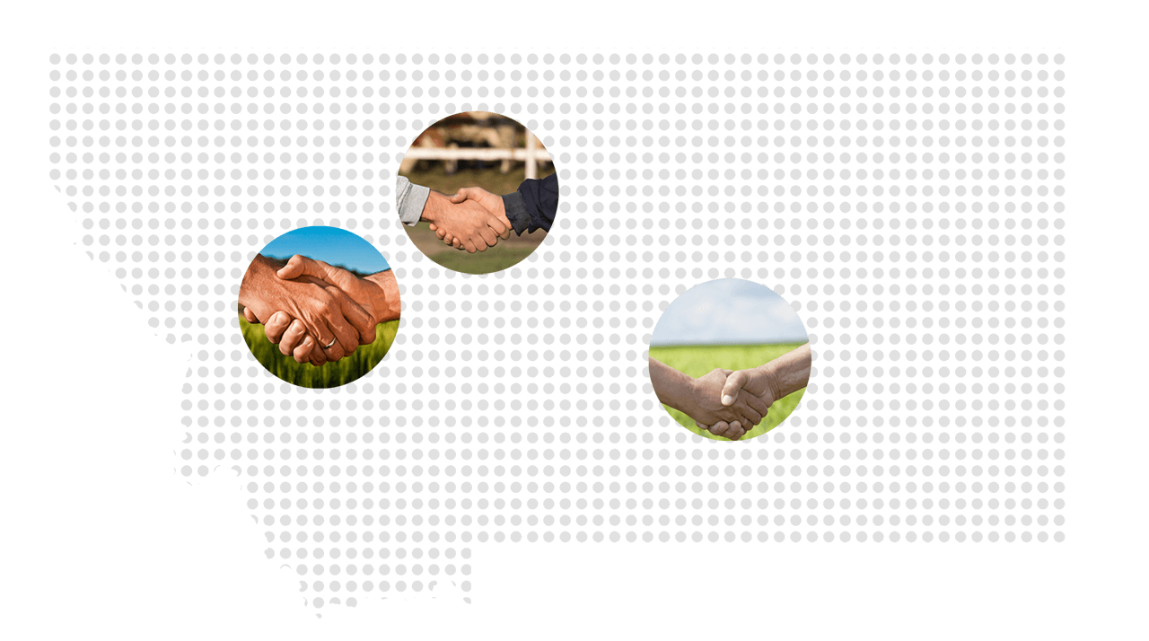 Working with Odegaard Injury Lawyers